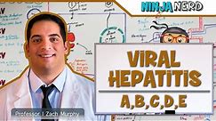 Hepatitis | Pathophysiology of Viral Hepatitis