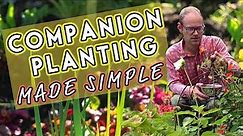 Why Vegetables Need Friends: Companion Planting Made Simple 🌺