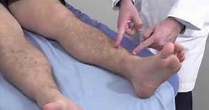 Examen físico de Tobillo y pie | Squeeze test