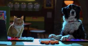 "Como Perros y Gatos 3". Trailer #1. Oficial Warner Bros. Pictures (HD/DOB)