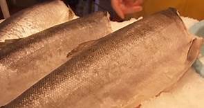 Pros and Cons of Genetically Modified Salmon - Vision Launch Media