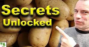 Potato Varieties - Explained 101