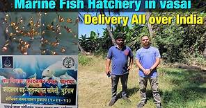 Marine Fish Hatchery in Vasai | Only Marine fish hatchery in Palghar I Delivery All Over India