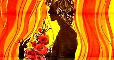 No encontré rosas para mi madre (1973) Online - Película Completa en Español - FULLTV