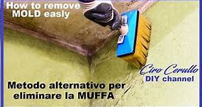 ELIMINARE la MUFFA ,tutorial rimozione muffa veloce -Remove MOLD with little expense. #AlcasItalia