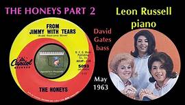 The Honeys PART 2 "From Jimmy with Tears" 1963 Leon Russell Brian Wilson David Gates