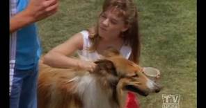 The New Lassie (Season 1 Eps.4)