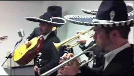 Mariachi Live Music - Mexican Mariachi band play Traditional songs