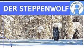 Der Steppenwolf - Einblick & Einstieg in das Werk - Inhalt / Zusammenfassung / Unterrichtseinstieg