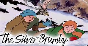 The Silver Brumby | Lost in the Snow 🐎| HD FULL EPISODES