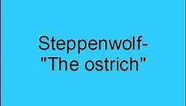 Steppenwolf- The ostrich