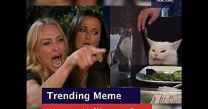Know Your Meme 101: Woman Yelling at a Cat