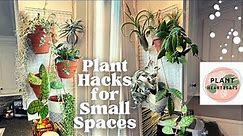 House Plant HACKS / Styling and Decor for Small Spaces! Plant Tour with names