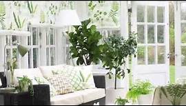 How to create a pretty conservatory