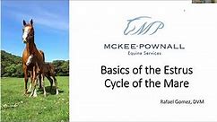 Dr. Gomez Webinar Part 1: Basics of the Estrus Cycle