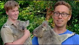 I Cuddled Koalas With Robert Irwin