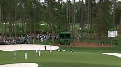 Terrifying moment towering pine trees fall on spectators at the Masters