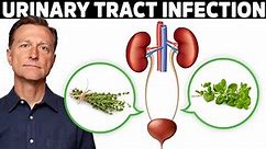 #1 Best Remedy for a UTI (Urinary Tract Infection)