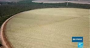 La agricultura intensiva devora la sabana brasileña de El Cerrado
