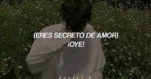 Joan Sebastian - Secreto de Amor [2000] (Letra / Lyrics) ☆
