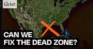 The Gulf of Mexico's dead zone, explained