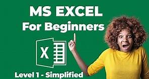 Simplified Microsoft Excel Tutorial- Beginners Guide Level 1