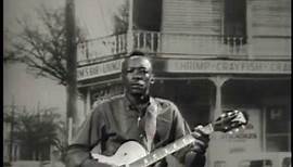 John Lee Hooker - "Hobo Blues" from the American Folk Blues Festival, 1965