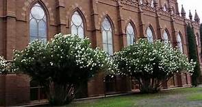 CATHEDRAL OF SAINT JOHN THE BAPTIST - Charleston, South Carolina, USA