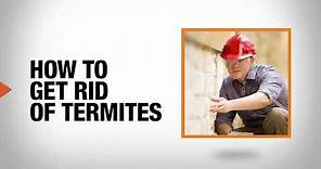 How to Get Rid of Termites | DIY Pest Control | The Home Depot