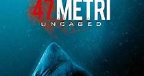 47 Meters Down: Uncaged - guarda streaming online
