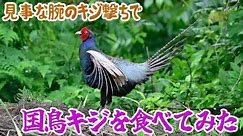 日本の国鳥キジを食べてみた