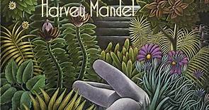Harvey Mandel - Feel The Sound Of Harvey Mandel