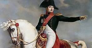 Napoleone Bonaparte - sintesi