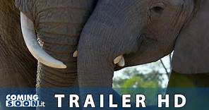 Disneynature: La Famiglia di Elefanti e Echo, Il Delfino - In Streaming su Disney+