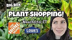 Home Depot & Lowe's Plant Shopping!! 🌿 all the Hoya in Manchester CT