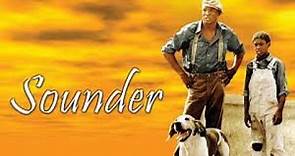Sounder (1972) FULL MOVIE English | Cicely Tyson,Paul Winfield,Kevin Hooks