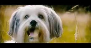 PUDSEY THE DOG: THE MOVIE - Official Film Trailer 2014