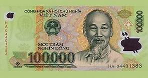 More Information on the Vietnamese Dong