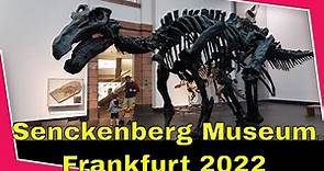 Naturkundemuseum Senckenberg Frankfurt 2022