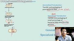 Generalized transduction vs Specialized Transduction