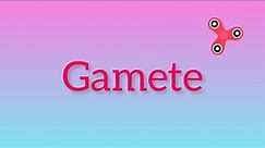What is Gamete?