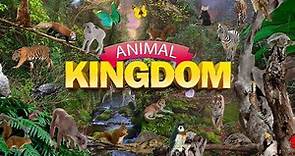 Animal Kingdom Game Trailer