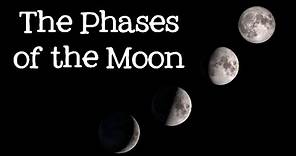 Phases of the Moon: Astronomy and Space for Kids - FreeSchool