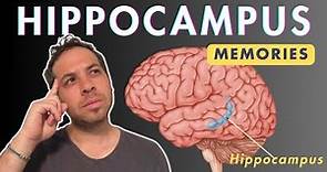 Hippocampus and Memories