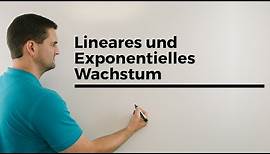 Lineares und Exponentielles Wachstum, Übersicht, Unterschiede, Exponentialfunktionen