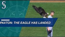 Bald eagle lands on Paxton during anthem