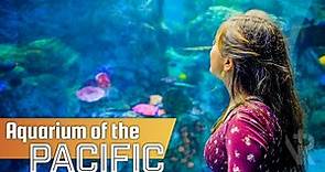Aquarium of the Pacific | Long Beach, CA