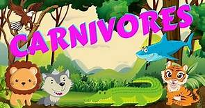 Carnivores | Types of Animals | Science for Kids