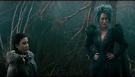 Into The Woods Trailer - Now Playing In Theaters!