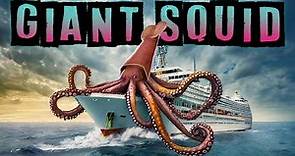 Giant Squid Facts!